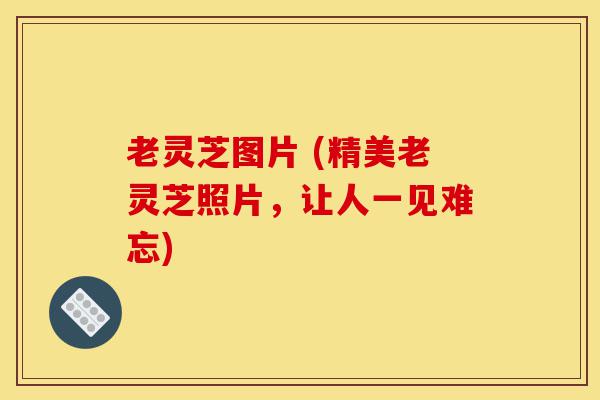老灵芝图片 (精美老灵芝照片,让人一见难忘)-第1张图片-灵芝之家 老灵芝图片 (精美老灵芝照片,让人一见难忘)-第1张图片-灵芝之家