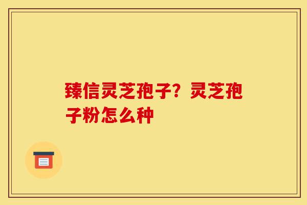 臻信灵芝孢子？灵芝孢子粉怎么种-第1张图片-灵芝之家