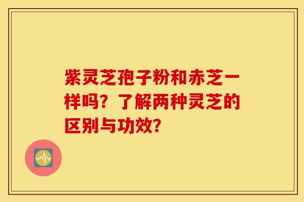 紫灵芝孢子粉和赤芝一样吗?了解两种灵芝的区别与功效?-第1张图片-灵芝之家 紫灵芝孢子粉和赤芝一样吗?了解两种灵芝的区别与功效?-第1张图片-灵芝之家
