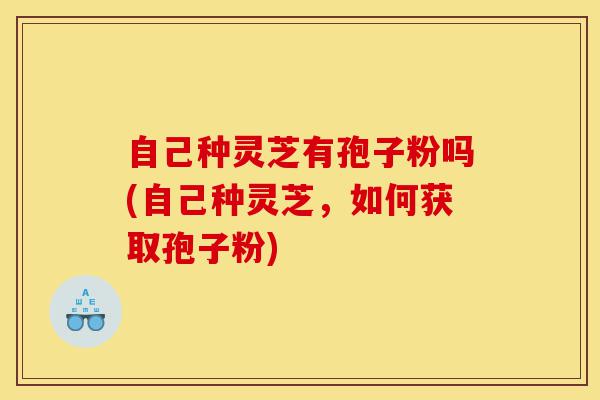 自己种灵芝有孢子粉吗(自己种灵芝,如何获取孢子粉)-第1张图片-灵芝之家 自己种灵芝有孢子粉吗(自己种灵芝,如何获取孢子粉)-第1张图片-灵芝之家
