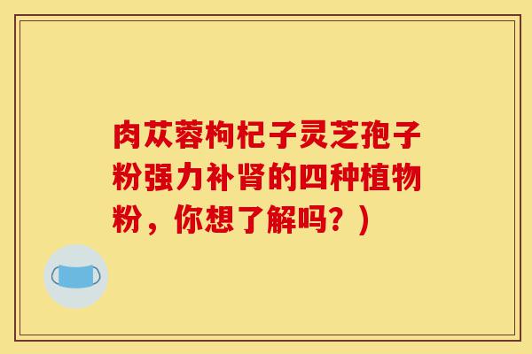 肉苁蓉枸杞子灵芝孢子粉强力补肾的四种植物粉,你想了解吗?)-第1张图片-灵芝之家 肉苁蓉枸杞子灵芝孢子粉强力补肾的四种植物粉,你想了解吗?)-第1张图片-灵芝之家