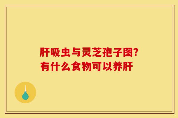 肝吸虫与灵芝孢子图？有什么食物可以养肝-第1张图片-灵芝之家