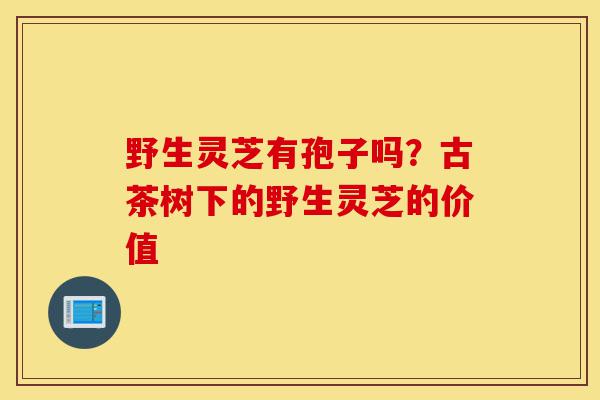 野生灵芝有孢子吗？古茶树下的野生灵芝的价值-第1张图片-灵芝之家