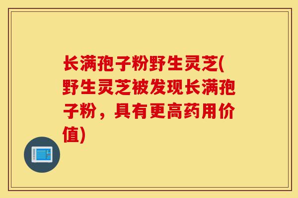 长满孢子粉野生灵芝(野生灵芝被发现长满孢子粉,具有更高药用价值)-第1张图片-灵芝之家 长满孢子粉野生灵芝(野生灵芝被发现长满孢子粉,具有更高药用价值)-第1张图片-灵芝之家