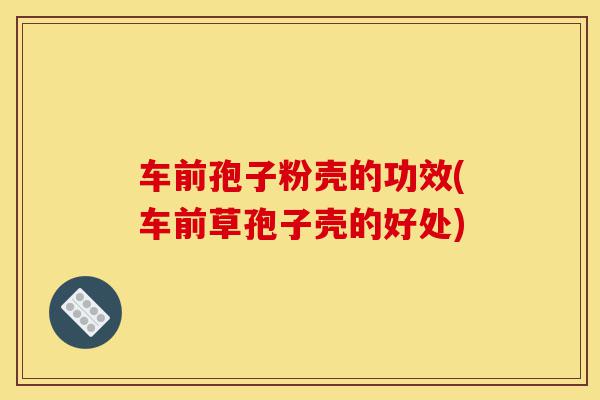 车前孢子粉壳的功效(车前草孢子壳的好处)-第1张图片-灵芝之家 车前孢子粉壳的功效(车前草孢子壳的好处)-第1张图片-灵芝之家