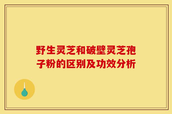 野生灵芝和破壁灵芝孢子粉的区别及功效分析-第1张图片-灵芝之家 野生灵芝和破壁灵芝孢子粉的区别及功效分析-第1张图片-灵芝之家