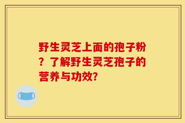 野生灵芝上面的孢子粉?了解野生灵芝孢子的营养与功效?-第1张图片-灵芝之家 野生灵芝上面的孢子粉?了解野生灵芝孢子的营养与功效?-第1张图片-灵芝之家