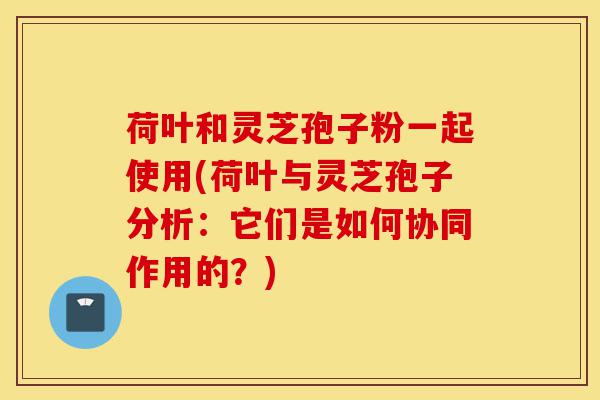 荷叶和灵芝孢子粉一起使用(荷叶与灵芝孢子分析:它们是如何协同作用的?)-第1张图片-灵芝之家 荷叶和灵芝孢子粉一起使用(荷叶与灵芝孢子分析:它们是如何协同作用的?)-第1张图片-灵芝之家