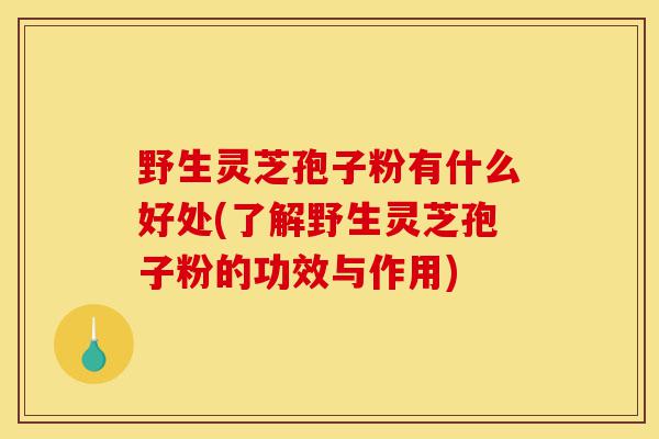 野生灵芝孢子粉有什么好处(了解野生灵芝孢子粉的功效与作用)-第1张图片-灵芝之家 野生灵芝孢子粉有什么好处(了解野生灵芝孢子粉的功效与作用)-第1张图片-灵芝之家