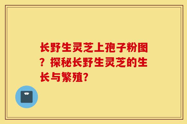 长野生灵芝上孢子粉图?探秘长野生灵芝的生长与繁殖?-第1张图片-灵芝之家 长野生灵芝上孢子粉图?探秘长野生灵芝的生长与繁殖?-第1张图片-灵芝之家