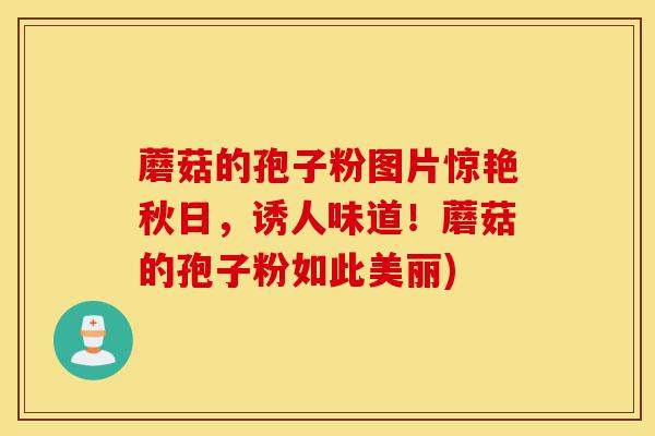 蘑菇的孢子粉图片惊艳秋日,诱人味道!蘑菇的孢子粉如此美丽)-第1张图片-灵芝之家 蘑菇的孢子粉图片惊艳秋日,诱人味道!蘑菇的孢子粉如此美丽)-第1张图片-灵芝之家