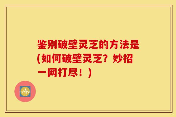 鉴别破壁灵芝的方法是(如何破壁灵芝?妙招一网打尽!)-第1张图片-灵芝之家 鉴别破壁灵芝的方法是(如何破壁灵芝?妙招一网打尽!)-第1张图片-灵芝之家