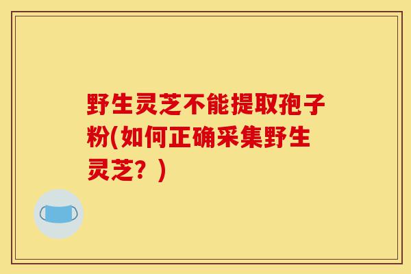 野生灵芝不能提取孢子粉(如何正确采集野生灵芝？)-第1张图片-灵芝之家