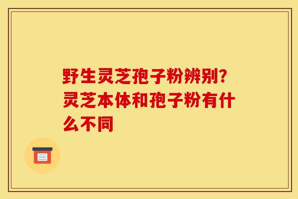 野生灵芝孢子粉辨别?灵芝本体和孢子粉有什么不同-第1张图片-灵芝之家 野生灵芝孢子粉辨别?灵芝本体和孢子粉有什么不同-第1张图片-灵芝之家