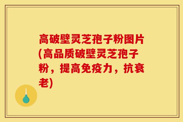高破壁灵芝孢子粉图片(高品质破壁灵芝孢子粉,提高免疫力,抗衰老)-第1张图片-灵芝之家 高破壁灵芝孢子粉图片(高品质破壁灵芝孢子粉,提高免疫力,抗衰老)-第1张图片-灵芝之家