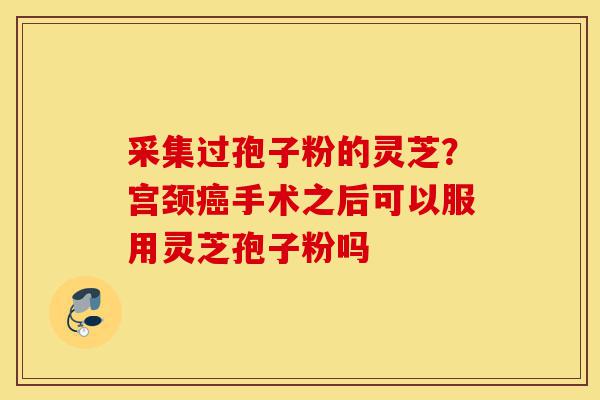采集过孢子粉的灵芝?宫颈癌手术之后可以服用灵芝孢子粉吗-第1张图片-灵芝之家 采集过孢子粉的灵芝?宫颈癌手术之后可以服用灵芝孢子粉吗-第1张图片-灵芝之家