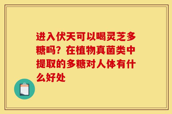 进入伏天可以喝灵芝多糖吗？在植物真菌类中提取的多糖对人体有什么好处-第1张图片-灵芝之家