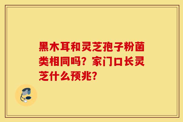黑木耳和灵芝孢子粉菌类相同吗?家门口长灵芝什么预兆?-第1张图片-灵芝之家 黑木耳和灵芝孢子粉菌类相同吗?家门口长灵芝什么预兆?-第1张图片-灵芝之家