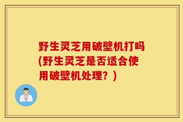 野生灵芝用破壁机打吗(野生灵芝是否适合使用破壁机处理?)-第1张图片-灵芝之家 野生灵芝用破壁机打吗(野生灵芝是否适合使用破壁机处理?)-第1张图片-灵芝之家