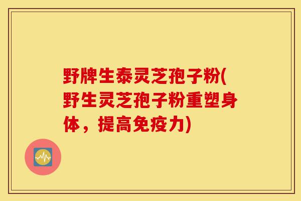 野牌生泰灵芝孢子粉(野生灵芝孢子粉重塑身体,提高免疫力)-第1张图片-灵芝之家 野牌生泰灵芝孢子粉(野生灵芝孢子粉重塑身体,提高免疫力)-第1张图片-灵芝之家