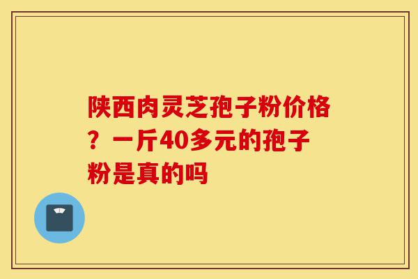 陕西肉灵芝孢子粉价格?一斤40多元的孢子粉是真的吗-第1张图片-灵芝之家 陕西肉灵芝孢子粉价格?一斤40多元的孢子粉是真的吗-第1张图片-灵芝之家