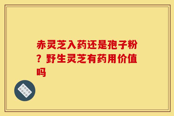 赤灵芝入药还是孢子粉？野生灵芝有药用价值吗-第1张图片-灵芝之家