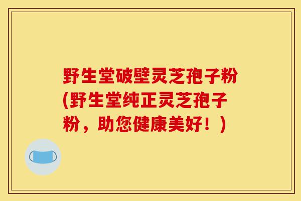 野生堂破壁灵芝孢子粉(野生堂纯正灵芝孢子粉,助您健康美好!)-第1张图片-灵芝之家 野生堂破壁灵芝孢子粉(野生堂纯正灵芝孢子粉,助您健康美好!)-第1张图片-灵芝之家