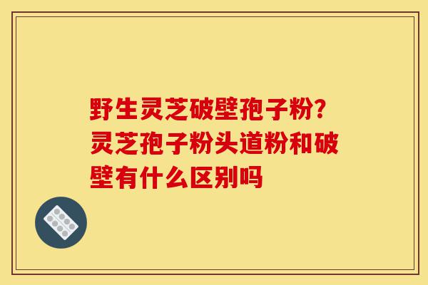 野生灵芝破壁孢子粉?灵芝孢子粉头道粉和破壁有什么区别吗-第1张图片-灵芝之家 野生灵芝破壁孢子粉?灵芝孢子粉头道粉和破壁有什么区别吗-第1张图片-灵芝之家