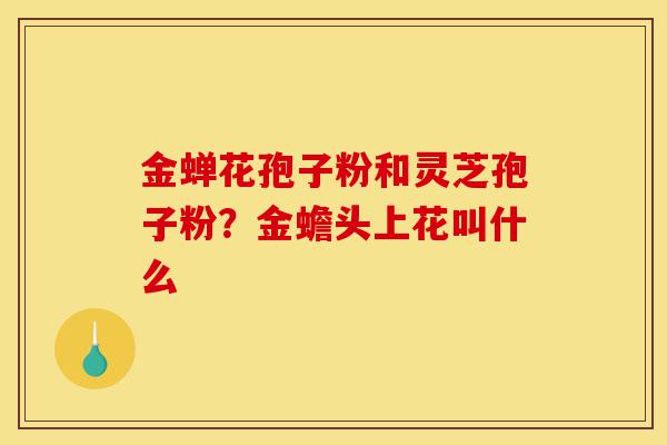 金蝉花孢子粉和灵芝孢子粉?金蟾头上花叫什么-第1张图片-灵芝之家 金蝉花孢子粉和灵芝孢子粉?金蟾头上花叫什么-第1张图片-灵芝之家