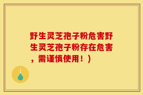 野生灵芝孢子粉危害野生灵芝孢子粉存在危害,需谨慎使用!)-第1张图片-灵芝之家 野生灵芝孢子粉危害野生灵芝孢子粉存在危害,需谨慎使用!)-第1张图片-灵芝之家