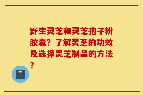 野生灵芝和灵芝孢子粉胶囊?了解灵芝的功效及选择灵芝制品的方法?-第1张图片-灵芝之家 野生灵芝和灵芝孢子粉胶囊?了解灵芝的功效及选择灵芝制品的方法?-第1张图片-灵芝之家