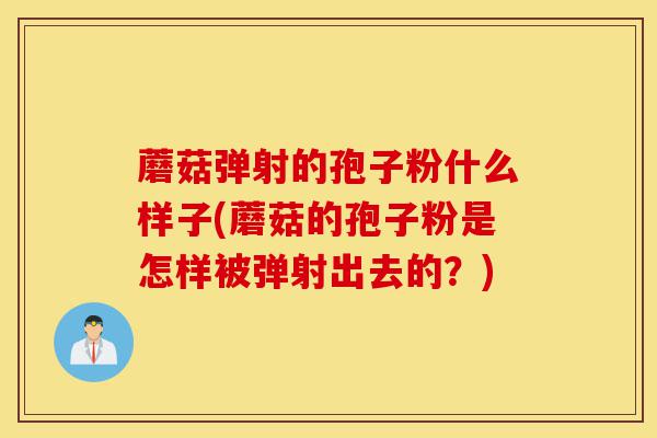 蘑菇弹射的孢子粉什么样子(蘑菇的孢子粉是怎样被弹射出去的?)-第1张图片-灵芝之家 蘑菇弹射的孢子粉什么样子(蘑菇的孢子粉是怎样被弹射出去的?)-第1张图片-灵芝之家