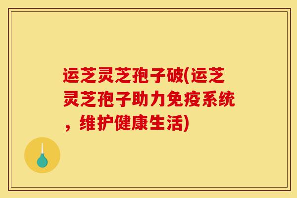 运芝灵芝孢子破(运芝灵芝孢子助力免疫系统,维护健康生活)-第1张图片-灵芝之家 运芝灵芝孢子破(运芝灵芝孢子助力免疫系统,维护健康生活)-第1张图片-灵芝之家