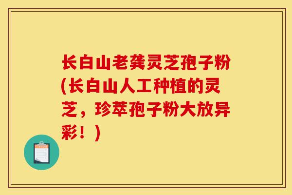 长白山老龚灵芝孢子粉(长白山人工种植的灵芝，珍萃孢子粉大放异彩！)-第1张图片-灵芝之家