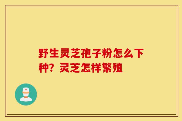 野生灵芝孢子粉怎么下种?灵芝怎样繁殖-第1张图片-灵芝之家 野生灵芝孢子粉怎么下种?灵芝怎样繁殖-第1张图片-灵芝之家