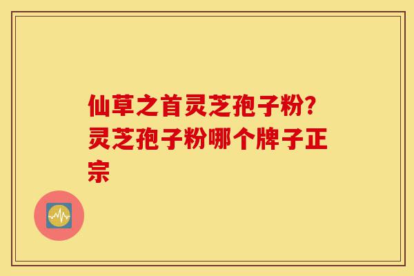 仙草之首灵芝孢子粉?灵芝孢子粉哪个牌子正宗-第1张图片-灵芝之家 仙草之首灵芝孢子粉?灵芝孢子粉哪个牌子正宗-第1张图片-灵芝之家