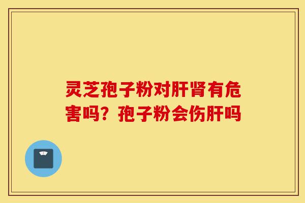 灵芝孢子粉对肝肾有危害吗？孢子粉会伤肝吗-第1张图片-灵芝之家