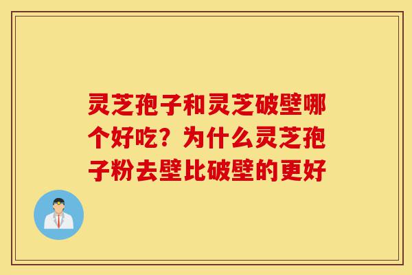 灵芝孢子和灵芝破壁哪个好吃?为什么灵芝孢子粉去壁比破壁的更好-第1张图片-灵芝之家 灵芝孢子和灵芝破壁哪个好吃?为什么灵芝孢子粉去壁比破壁的更好-第1张图片-灵芝之家