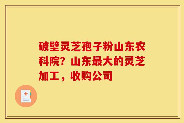 破壁灵芝孢子粉山东农科院?山东最大的灵芝加工,收购公司-第1张图片-灵芝之家 破壁灵芝孢子粉山东农科院?山东最大的灵芝加工,收购公司-第1张图片-灵芝之家