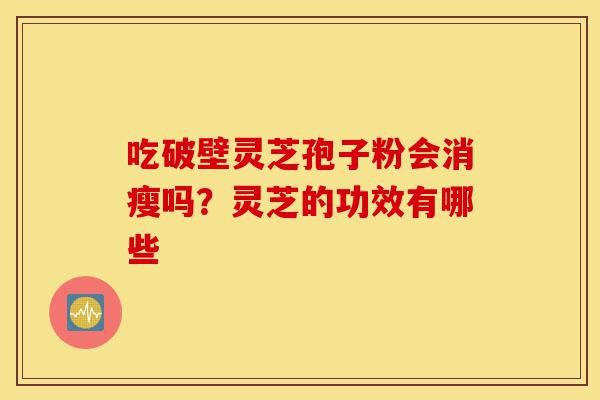 吃破壁灵芝孢子粉会消瘦吗?灵芝的功效有哪些-第1张图片-灵芝之家 吃破壁灵芝孢子粉会消瘦吗?灵芝的功效有哪些-第1张图片-灵芝之家
