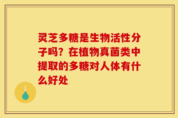 灵芝多糖是生物活性分子吗？在植物真菌类中提取的多糖对人体有什么好处-第1张图片-灵芝之家