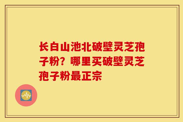 长白山池北破壁灵芝孢子粉?哪里买破壁灵芝孢子粉最正宗-第1张图片-灵芝之家 长白山池北破壁灵芝孢子粉?哪里买破壁灵芝孢子粉最正宗-第1张图片-灵芝之家