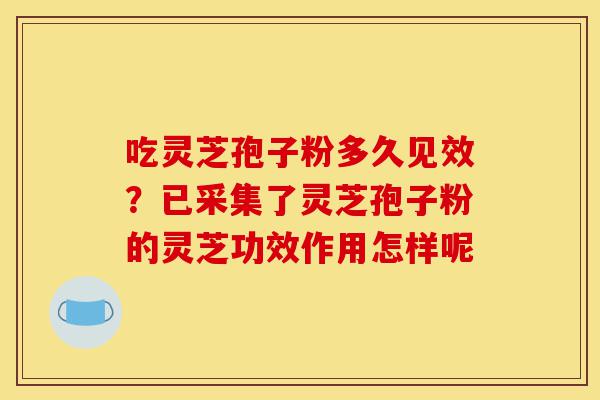 吃灵芝孢子粉多久见效?已采集了灵芝孢子粉的灵芝功效作用怎样呢-第1张图片-灵芝之家 吃灵芝孢子粉多久见效?已采集了灵芝孢子粉的灵芝功效作用怎样呢-第1张图片-灵芝之家