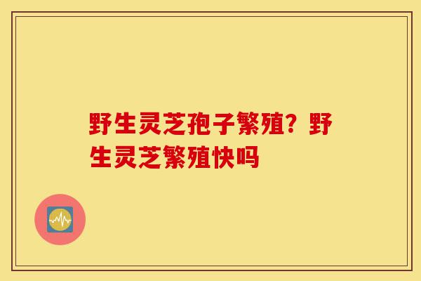 野生灵芝孢子繁殖?野生灵芝繁殖快吗-第1张图片-灵芝之家 野生灵芝孢子繁殖?野生灵芝繁殖快吗-第1张图片-灵芝之家