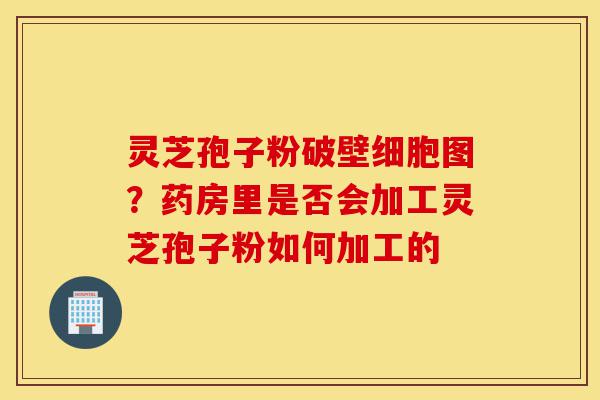 灵芝孢子粉破壁细胞图?药房里是否会加工灵芝孢子粉如何加工的-第1张图片-灵芝之家 灵芝孢子粉破壁细胞图?药房里是否会加工灵芝孢子粉如何加工的-第1张图片-灵芝之家