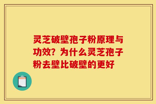灵芝破壁孢子粉原理与功效?为什么灵芝孢子粉去壁比破壁的更好-第1张图片-灵芝之家 灵芝破壁孢子粉原理与功效?为什么灵芝孢子粉去壁比破壁的更好-第1张图片-灵芝之家