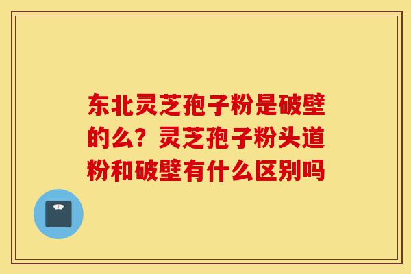 东北灵芝孢子粉是破壁的么?灵芝孢子粉头道粉和破壁有什么区别吗-第1张图片-灵芝之家 东北灵芝孢子粉是破壁的么?灵芝孢子粉头道粉和破壁有什么区别吗-第1张图片-灵芝之家
