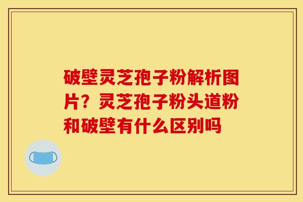 破壁灵芝孢子粉解析图片?灵芝孢子粉头道粉和破壁有什么区别吗-第1张图片-灵芝之家 破壁灵芝孢子粉解析图片?灵芝孢子粉头道粉和破壁有什么区别吗-第1张图片-灵芝之家