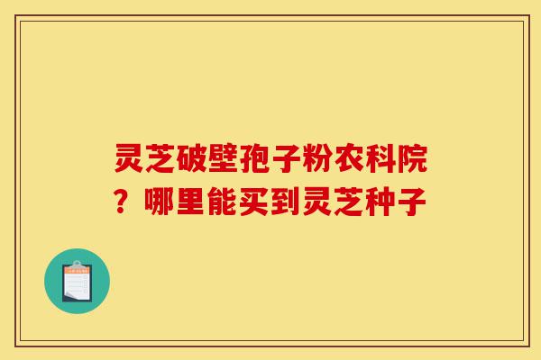 灵芝破壁孢子粉农科院?哪里能买到灵芝种子-第1张图片-灵芝之家 灵芝破壁孢子粉农科院?哪里能买到灵芝种子-第1张图片-灵芝之家