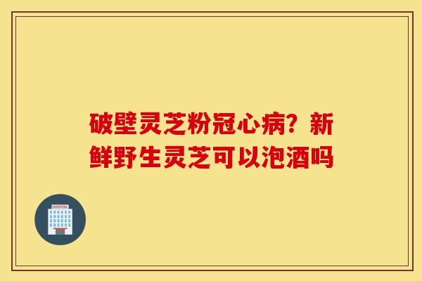 破壁灵芝粉冠心病?新鲜野生灵芝可以泡酒吗-第1张图片-灵芝之家 破壁灵芝粉冠心病?新鲜野生灵芝可以泡酒吗-第1张图片-灵芝之家
